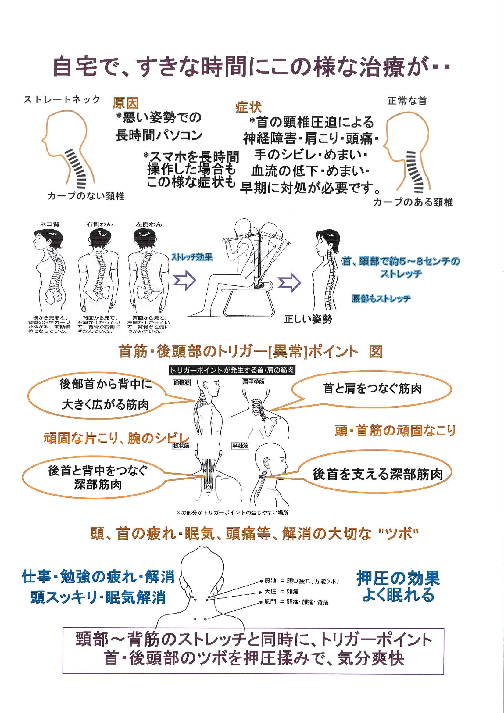 画像の説明